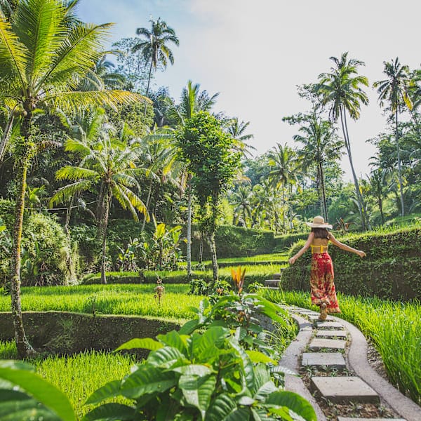 Bali, Gili & Lombok: Vom Sunrise Hike ins Surfparadies