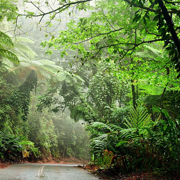Australian Roadtrip: East Coast & Nature Adventure!