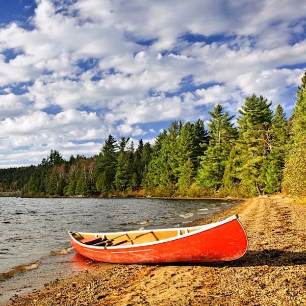 Explore Ontario: Roadtrip, Wildlife & City Scenes!