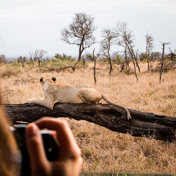 Around the world: Australia and South Africa!